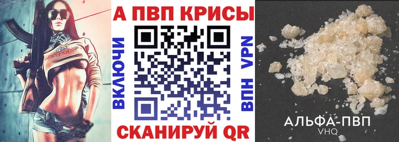 APVP СК Кирс