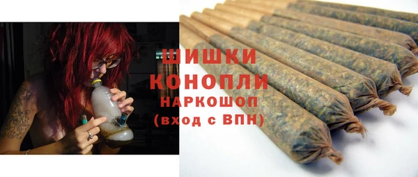 трава Няндома