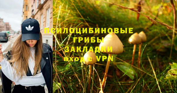 трава Няндома