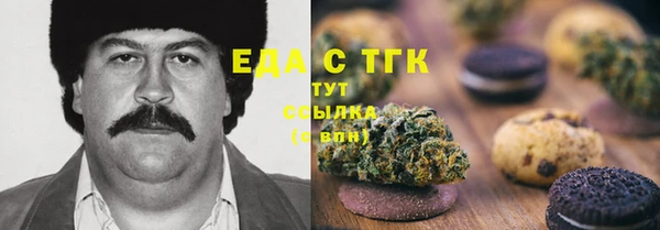 СК Новодвинск