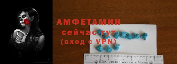 трава Няндома