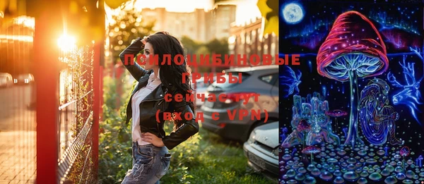 трава Няндома