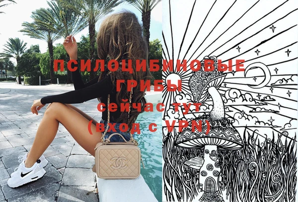 трава Няндома