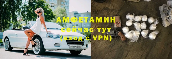 индика Осинники