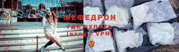 трава Няндома