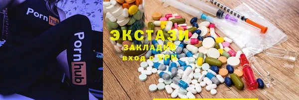 индика Осинники