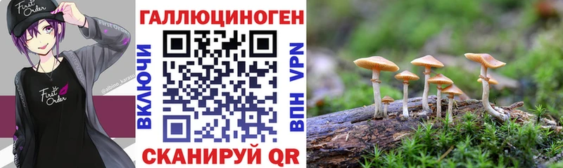 Галлюциногенные грибы мухоморы  Кирс 